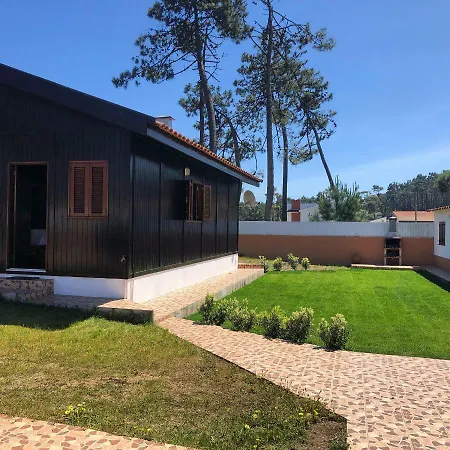Forest Surf Camp Esmoriz