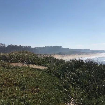 Hostel Forest Surf Camp