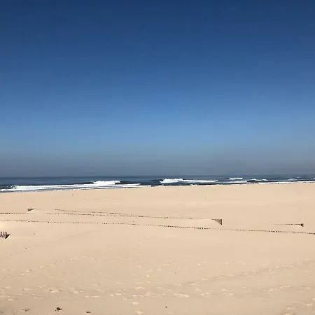 Hostel Forest Surf Camp *